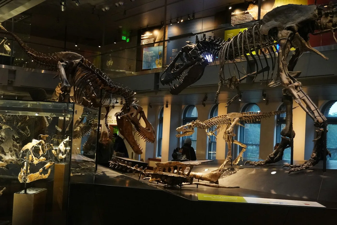 VR Field Trips for Schools: A Practical Lesson Planning Guide